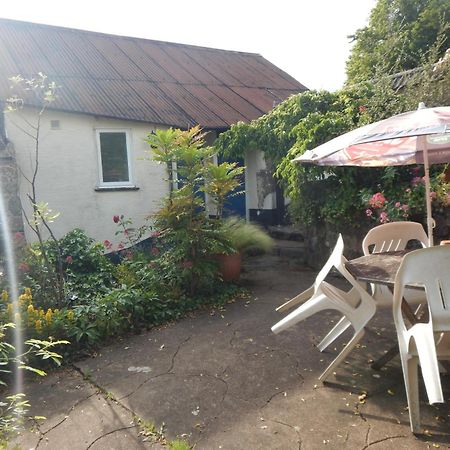 The Royal Oak Inn Dunsford Exterior foto