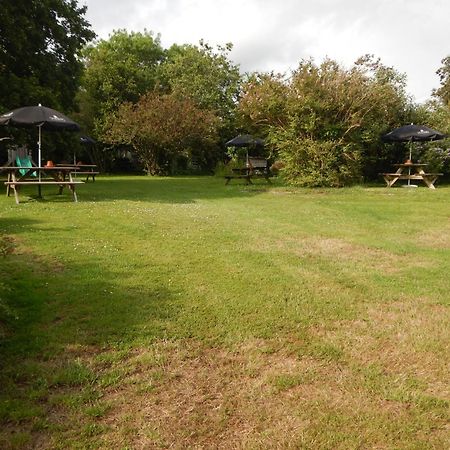 The Royal Oak Inn Dunsford Exterior foto