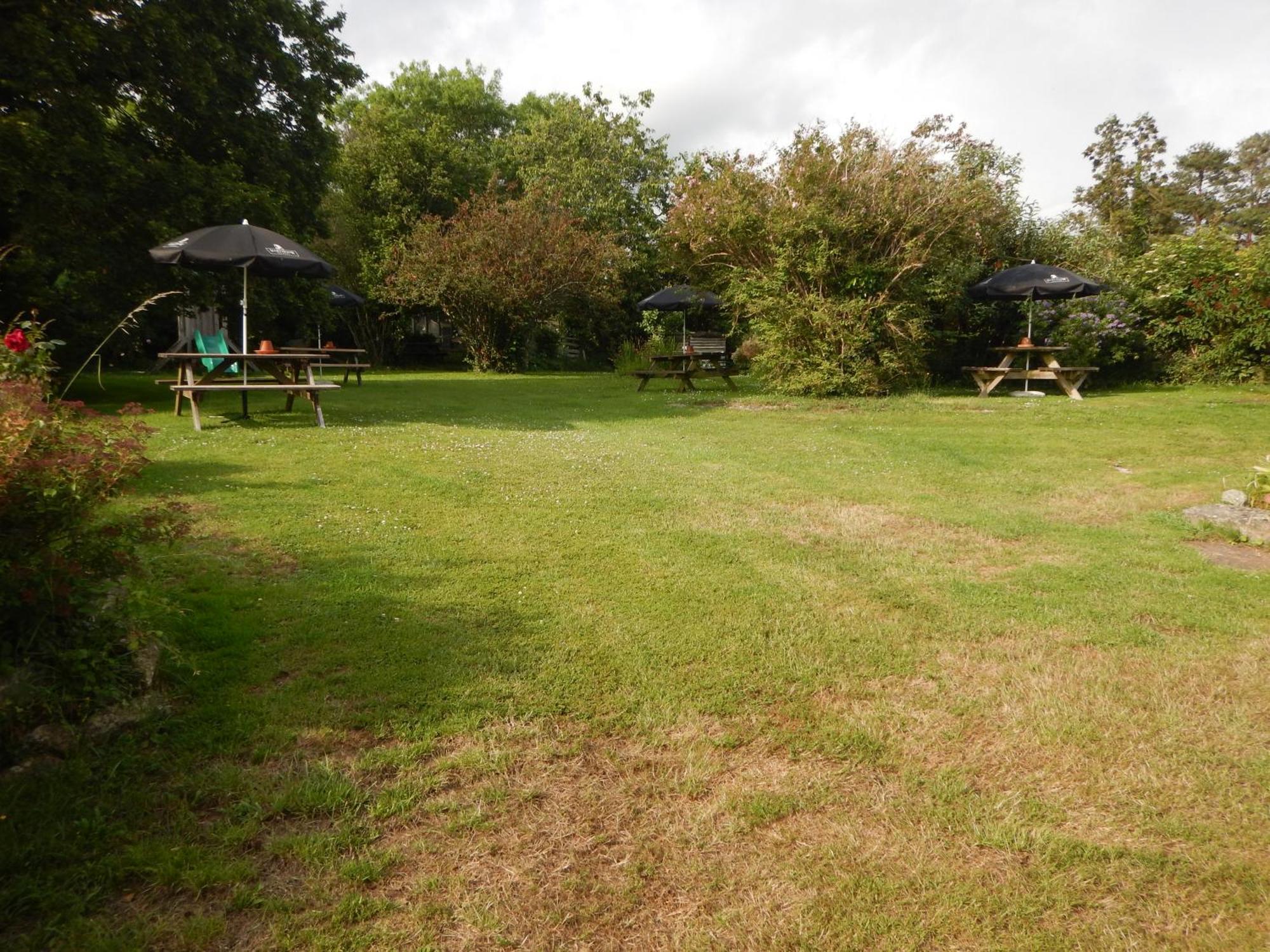 The Royal Oak Inn Dunsford Exterior foto